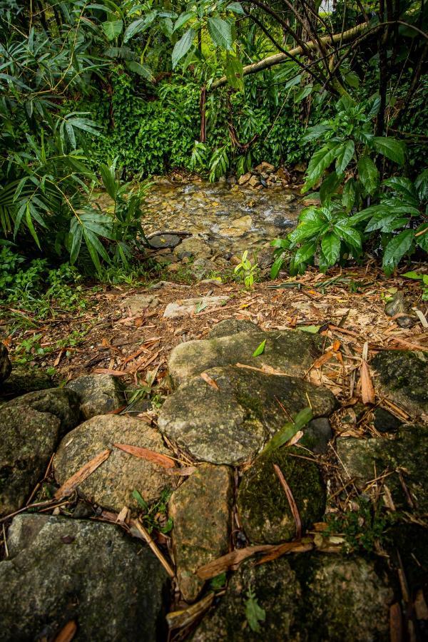 Casa Do Tesouro Villa Joinville Eksteriør bilde